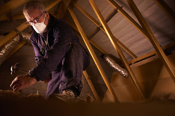 Best Insulation Removal  in Flourtown, PA